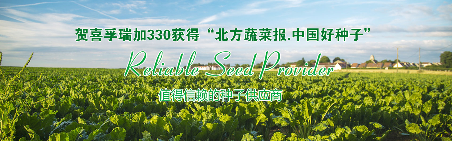九游会官网入口