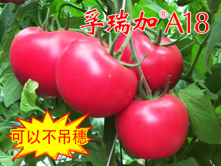 九游会官网入口:河北省第四次全国文物普查